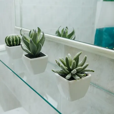 For Couples Stella Croatia